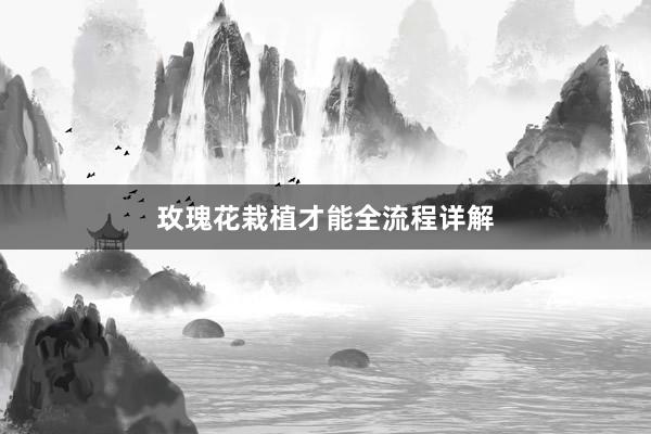 玫瑰花栽植才能全流程详解